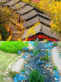 秋日窯湖追光指南