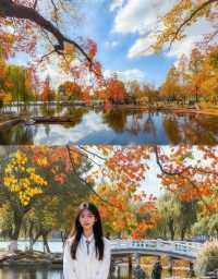 南京賞秋必去！莫愁湖烏桕紅了錯過再等一年