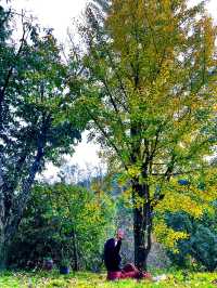 🍂 A Quiet Afternoon at Ziwei Mountain Villa