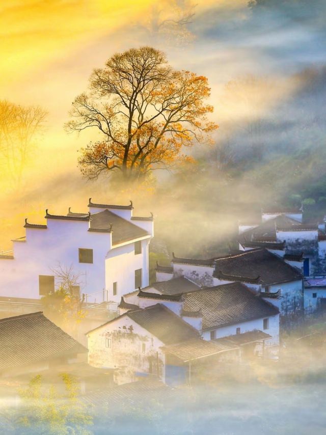 紅楓配炊煙！石城的秋冬晨霧，小眾古村的限定畫卷太絕了