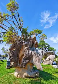 南灣花鎮，一定要來！！！