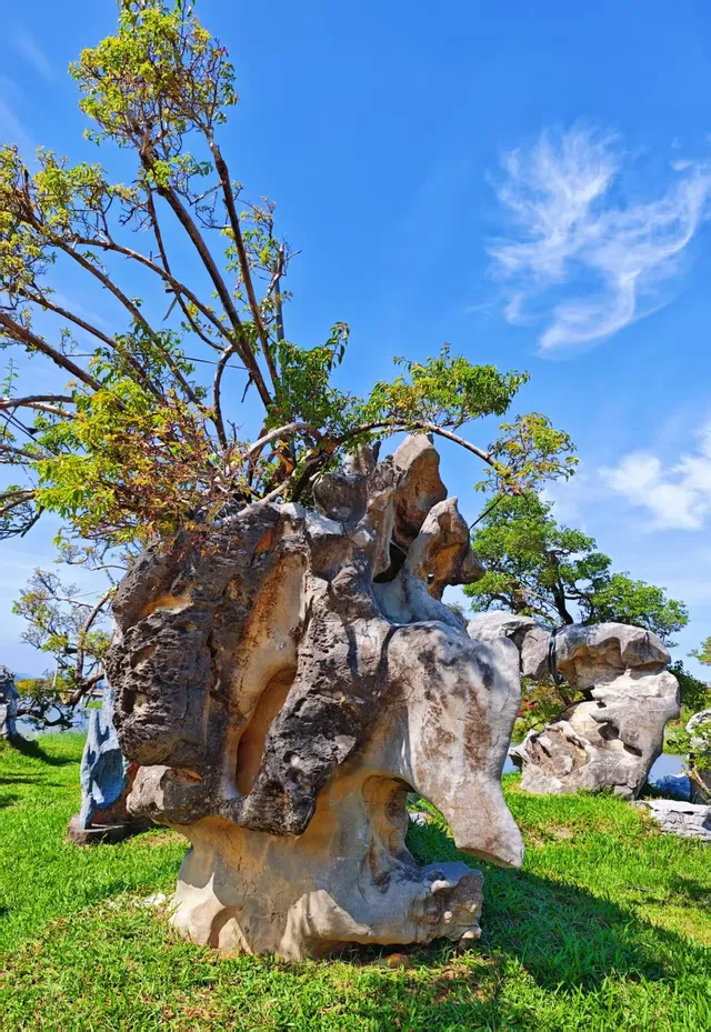 南灣花鎮，一定要來！！！
