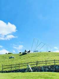 治癒系草原打卡地