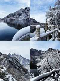 玉塵飛瀑，瓊枝漫山！快來捕捉翠華山的冬日限定浪漫~