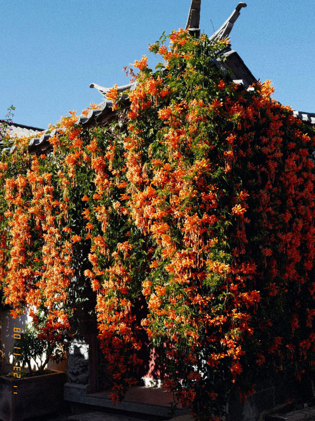 劍川古城被忽略的大理寶藏景點 劍川古城被忽略的大理寶藏景點