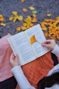 接下來這將是廣東賞秋天花板……