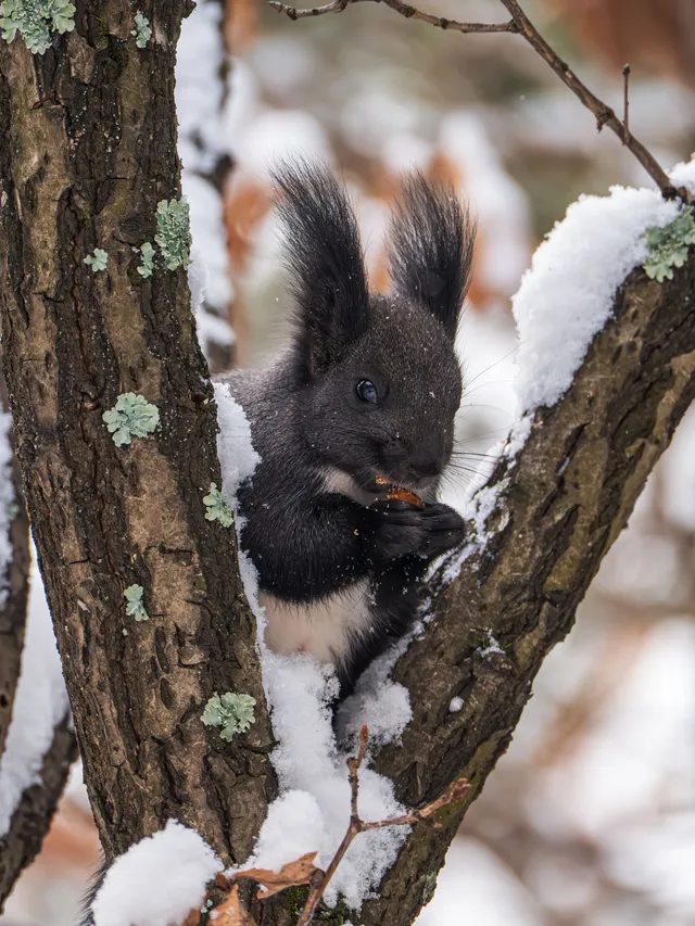 再吃，再吃就把你拍下來，放到網上去！