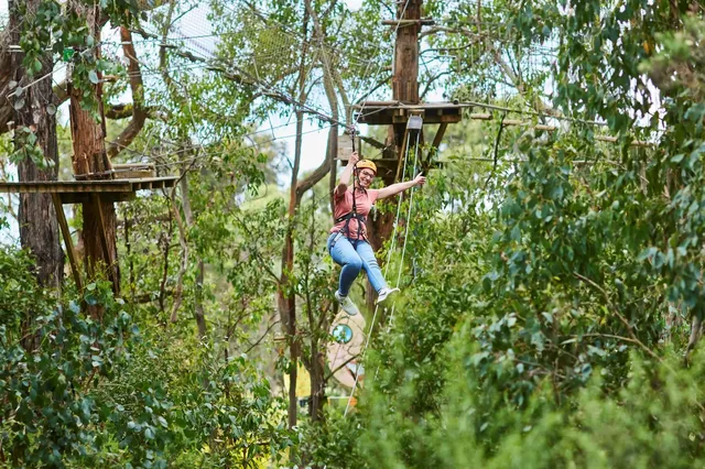 Enchanted Adventure 訂票&退改攻略貼