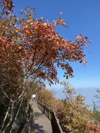 長江三峽之奉節