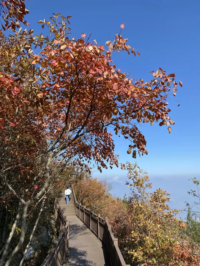 長江三峽之奉節 長江三峽之奉節