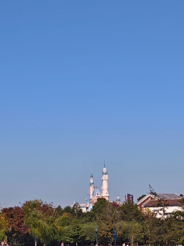 隱匿的星願：在喧騰樂園邊，找到一片濕地