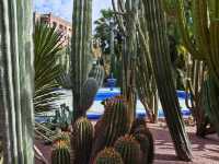 免簽摩洛哥等多國連遊攻略來啦