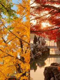 北京私藏免費秋景!600年古城牆配紅楓,美到窒息