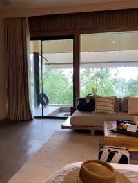 這一站躲進了青城山的森林氧吧