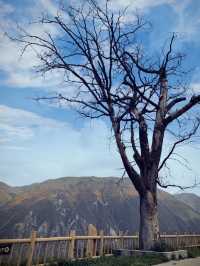 迄今為止發現的世界上最大、最古老的黃泥羌寨