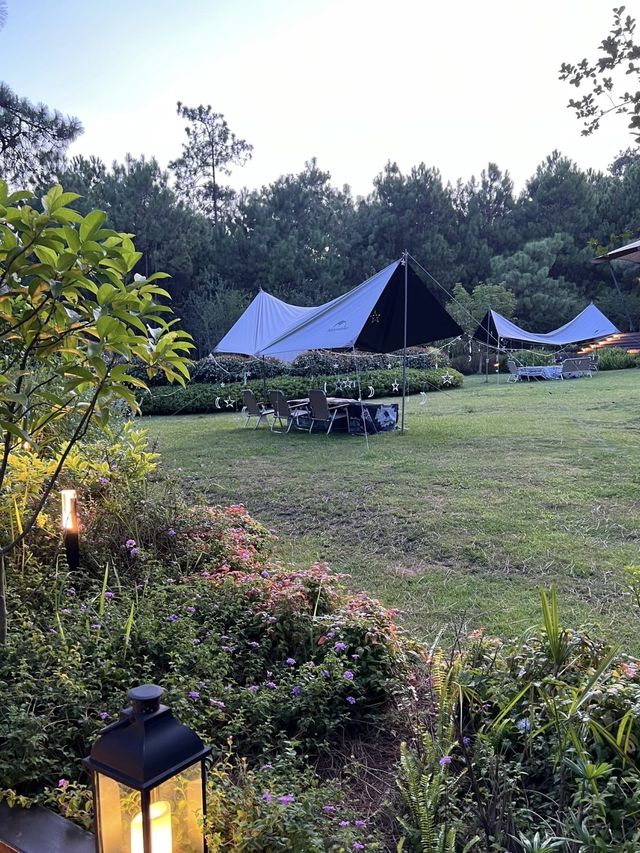 這次在貴州興義發現了一處藏在森林裡的寶藏酒店! 這次在貴州興義發現了一處藏在森林裡的寶藏酒店!