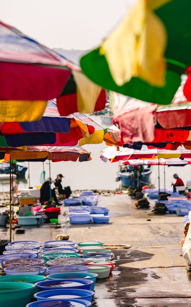 涠洲島|原來好玩好吃的都在淡季~ 涠洲島|原來好玩好吃的都在淡季~