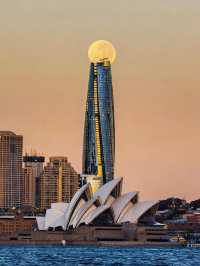 悉尼皇冠天和塔豪華酒店｜雲端之上的海港奢享