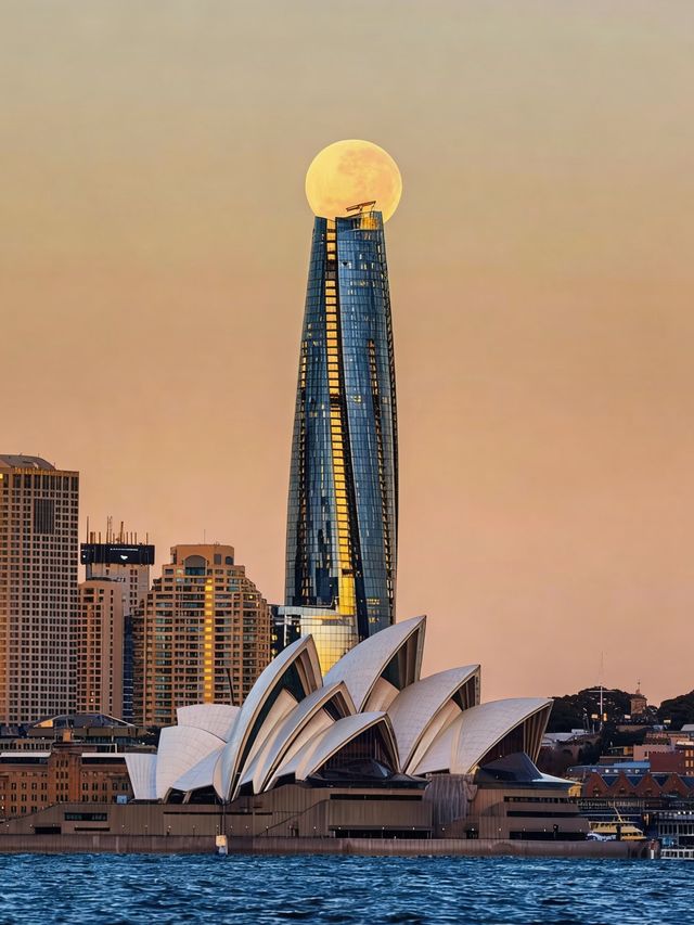 悉尼皇冠天和塔豪華酒店｜雲端之上的海港奢享