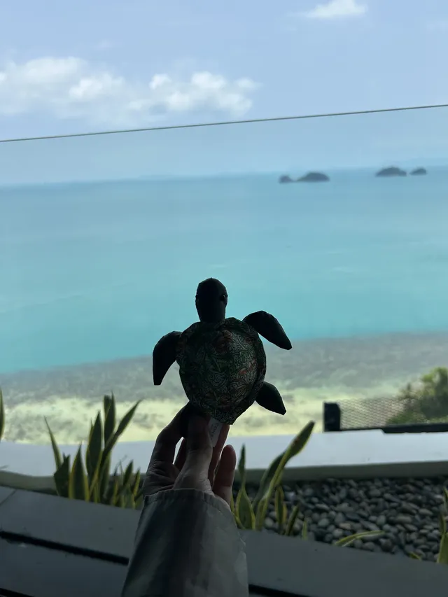 蘇梅|康萊德| 蘇梅|康萊德|