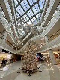 廈門墜入浪漫的冬日童話!12米星願樹啊啊啊啊