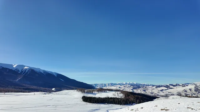 12.2 治癒日｜白哈巴→喀納斯漫遊
