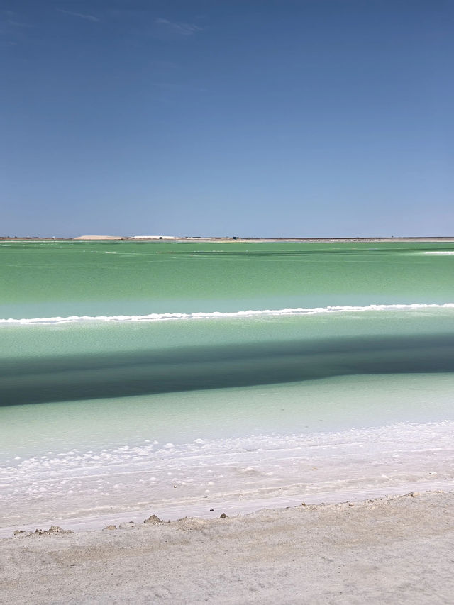 西寧等地7天|冬天這樣玩才夠爽 西寧等地7天|冬天這樣玩才夠爽