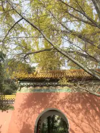 #南京5天#休閒之旅 上篇