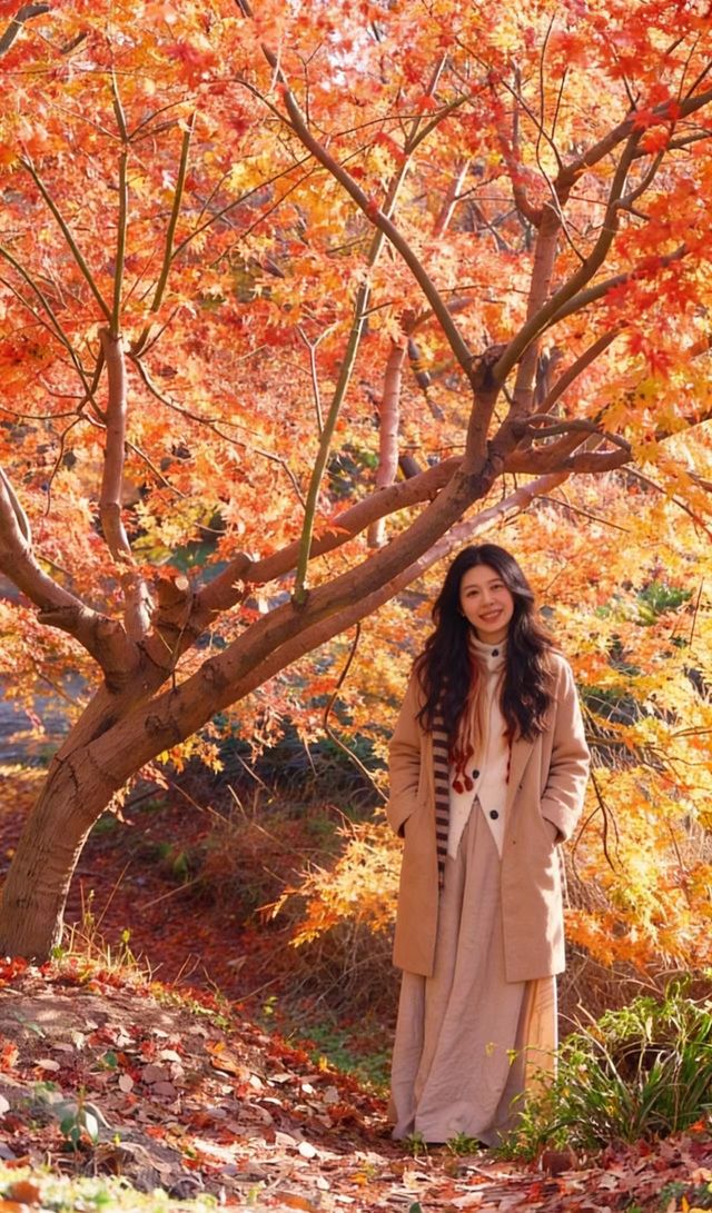 魔都絕美賞秋地!花開海上生態園治癒系深秋大片拍攝攻略 魔都絕美賞秋地!花開海上生態園治癒系深秋大片拍攝攻略