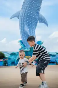 拍半小時!加修了幾百!原因太好看