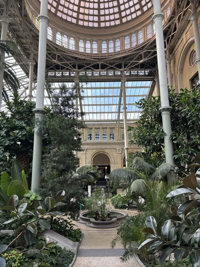 在哥本哈根遇到了最美的彩虹和日落