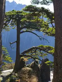 12.7週末黃山人潮擁擠