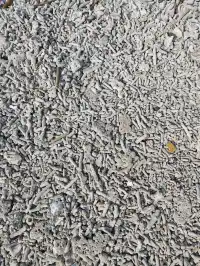 帶娃去旅行之廣西潿洲島D2