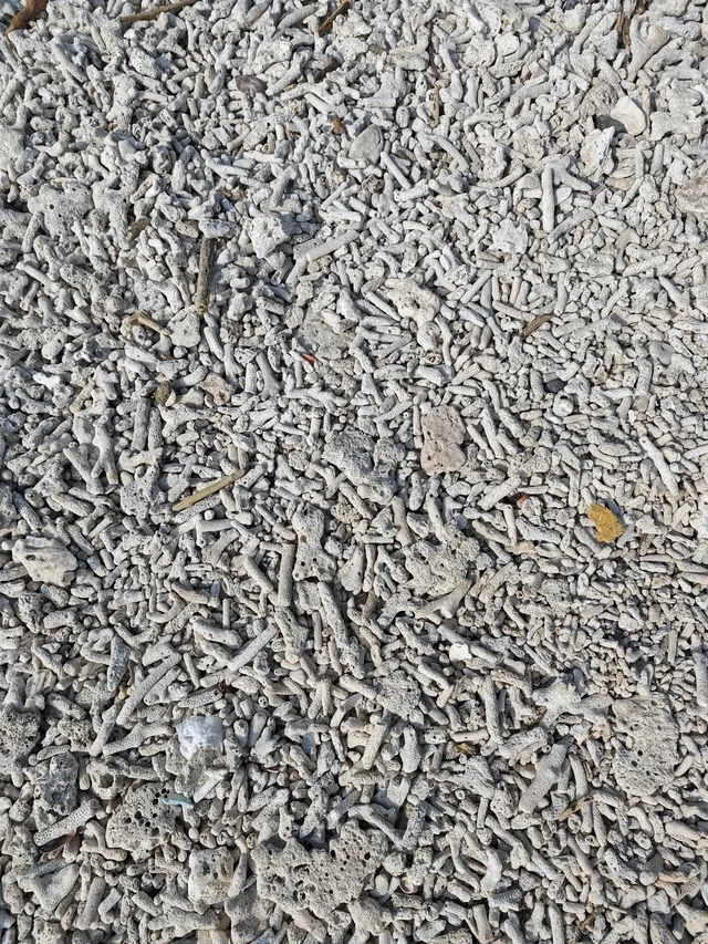 帶娃去旅行之廣西潿洲島D2 帶娃去旅行之廣西潿洲島D2