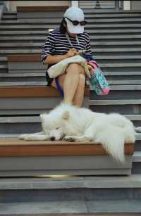 靜安雕塑公園必玩攻略治癒系路線