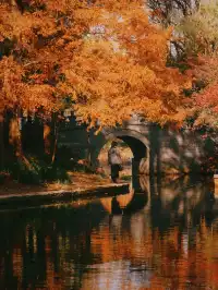 12.6共青森林公園橙黃橘綠時(附路線)