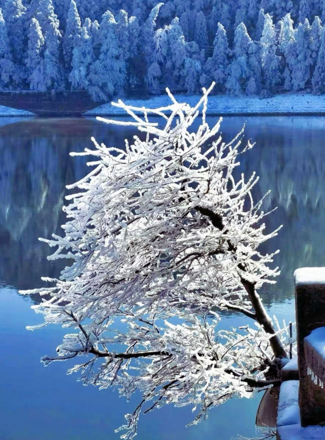 南方人看雪天花板!廬山雪景霧淞保姆級攻略 南方人看雪天花板!廬山雪景霧淞保姆級攻略
