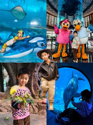 舟山竟然這麼適合遛娃！長喬鵜鶘酒店好驚喜