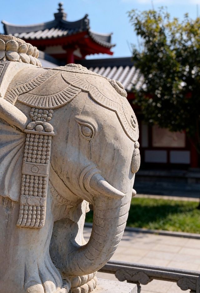 晴天遇見的盛世佛光 晴天遇見的盛世佛光