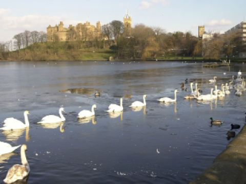 リンリスゴ宮冬の散歩