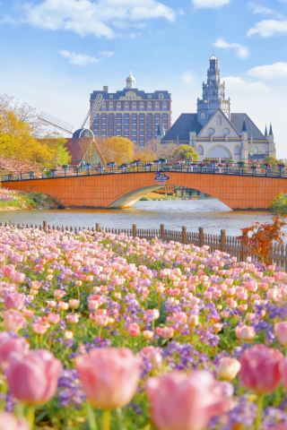 Yancheng Holland Flower Sea｜Step into Monet's Garden in April, with a Complete Photo Guide