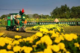 แนะนำจุดถ่ายภาพฤดูใบไม้ผลิที่ทะเลสาบไท่หู