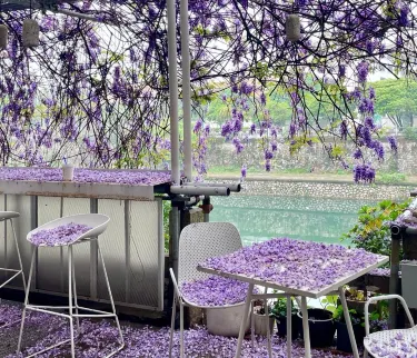 Guilin City | Shijiayuan Wisteria Waterfall! A Healing Coffee Shop Hidden  in an Old Community | Trip.com Guilin