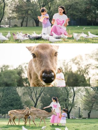 Горячие источники весной и курорты, где обитают олени, расположенные вдоль Пятого кольца.