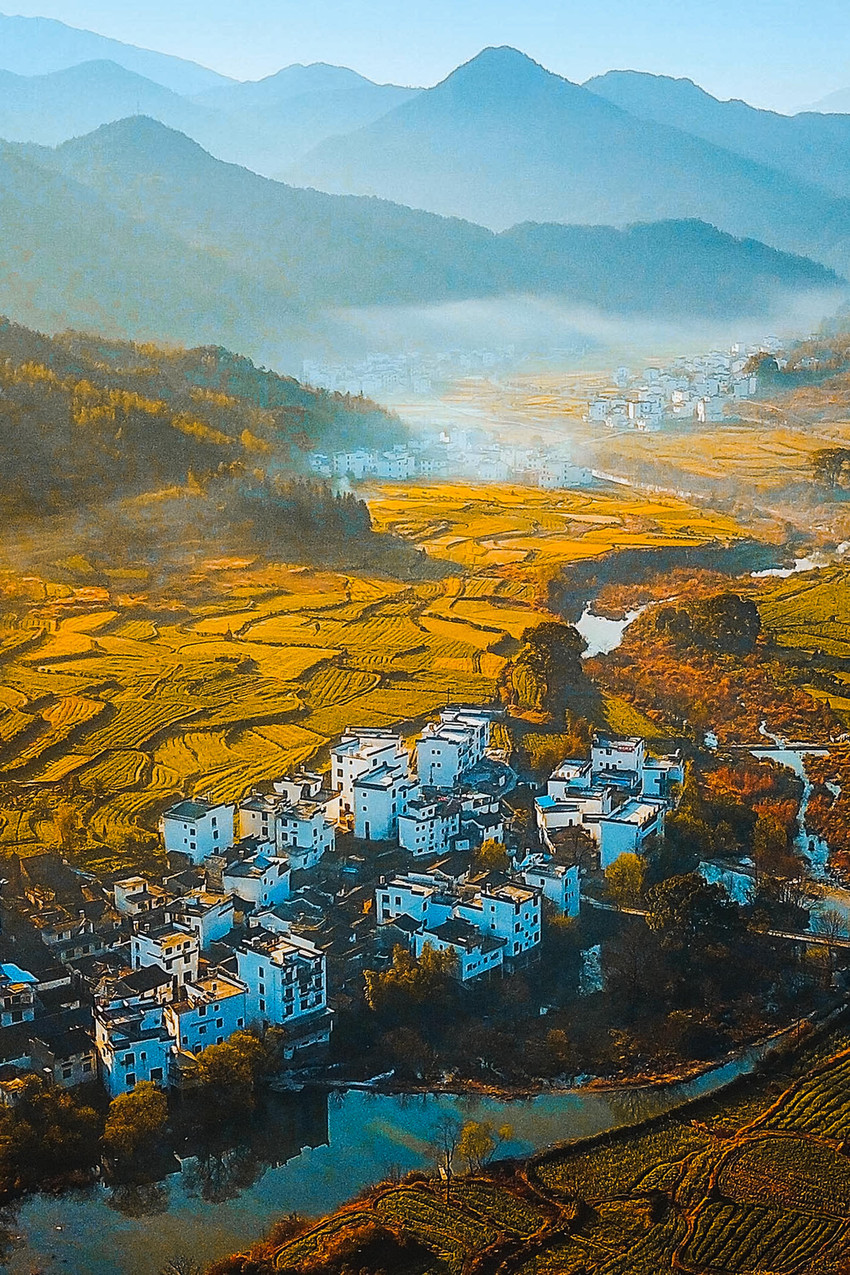 江岭梯田油菜花 参考图 4