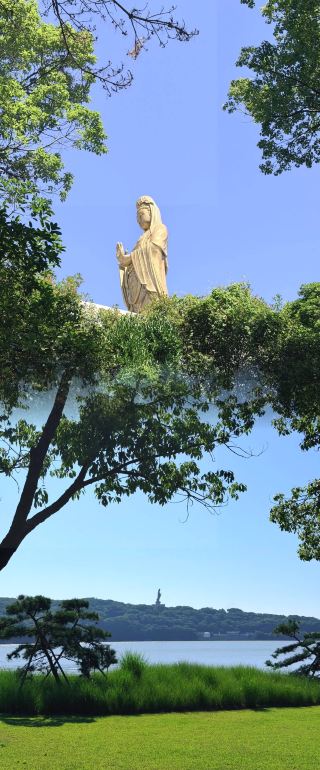 普陀山修心研学｜自分自身と向き合う禅の旅へ