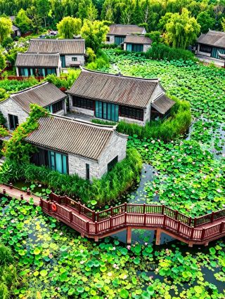 🌿 Yancheng Huaiju Town! 3 hours from Nanjing, explore an intangible cultural heritage hidden gem for free, so worthwhile you'll want to stay!
