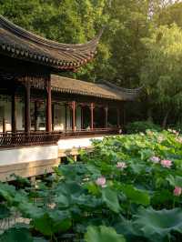 蓮池書院|保定夏日荷塘古風秘境