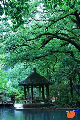Explore Kunming on a self-driving trip! Check in at the immortal hotel in the thousand-year-old secret Black Dragon Pool
