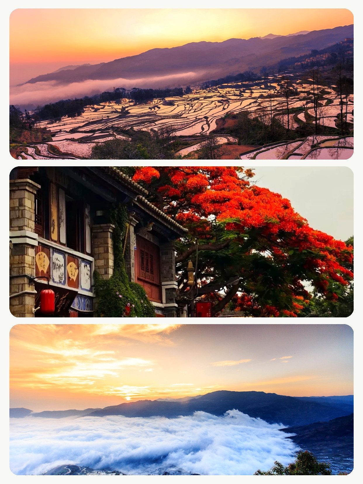 During the Mid-Autumn Festival and National Day holidays, I took my parents to a place where the roads were flat and the scenery was beautiful, but we didn't rush.